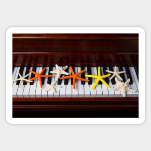 Starfish On Piano Keys Sticker